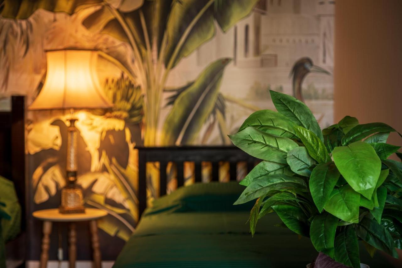 The Tropical House Tirana Apartment Ngoại thất bức ảnh
